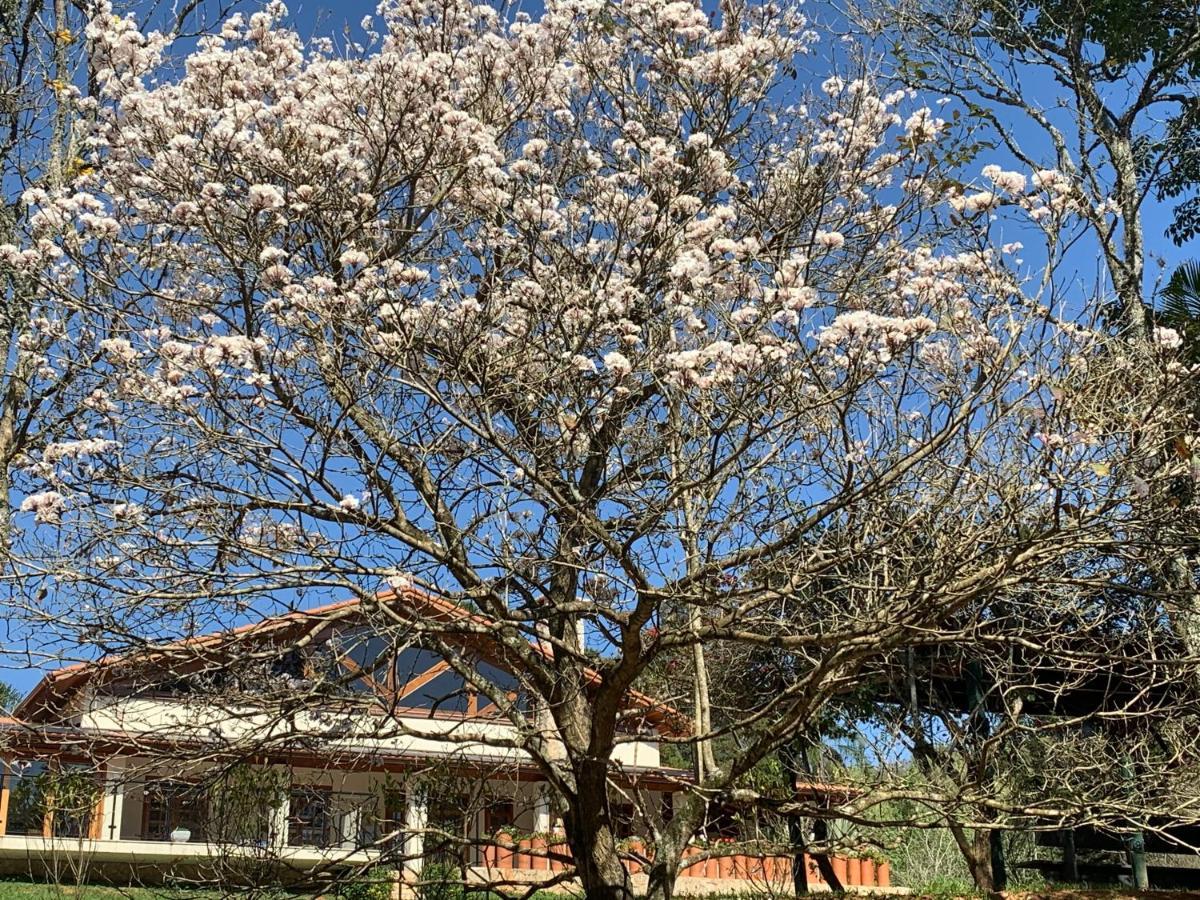 Gardenian Boutique Hotel São Roque Eksteriør billede
